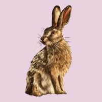 Hares Ladies Tee | Teevron