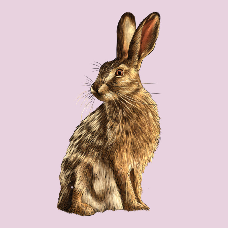 Hares Ladies Tee by LillyAllenDesigns | Teevron