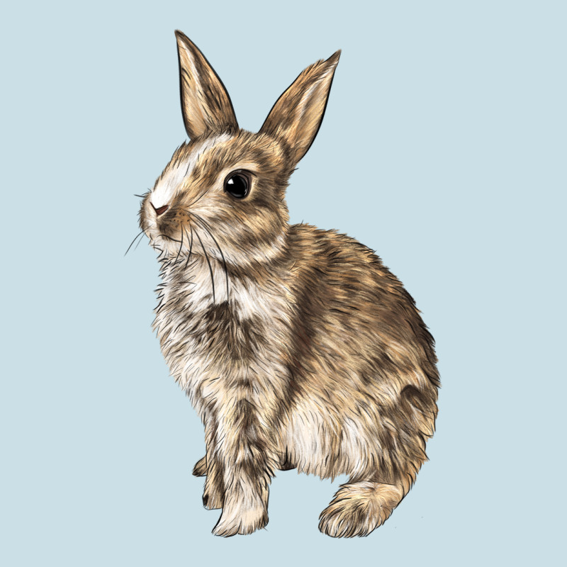 Rabbit Ladies Tee by LillyAllenDesigns | Teevron