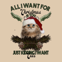 All I Want For Christmas Is You Just Kidding I Want Cats Heavyweight Sweatshirt | Teevron