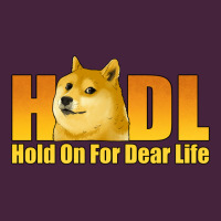 Hodl Hold On For Dear Life Dogecoin Premium Tee | Teevron