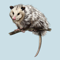 Opossum Ladies Tee | Teevron