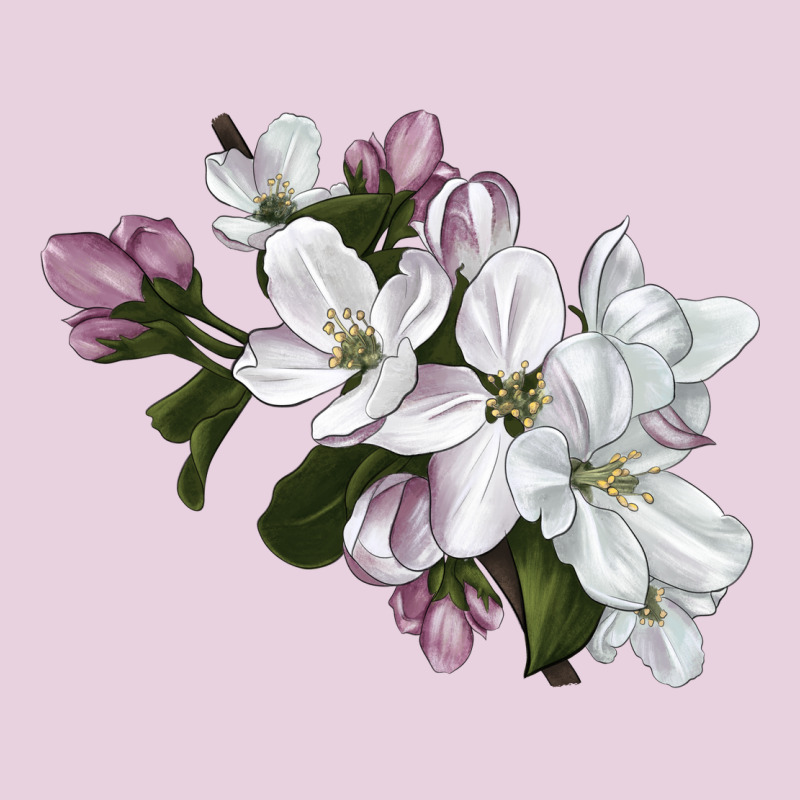 Apple Blossom Ladies Tee by LillyAllenDesigns | Teevron
