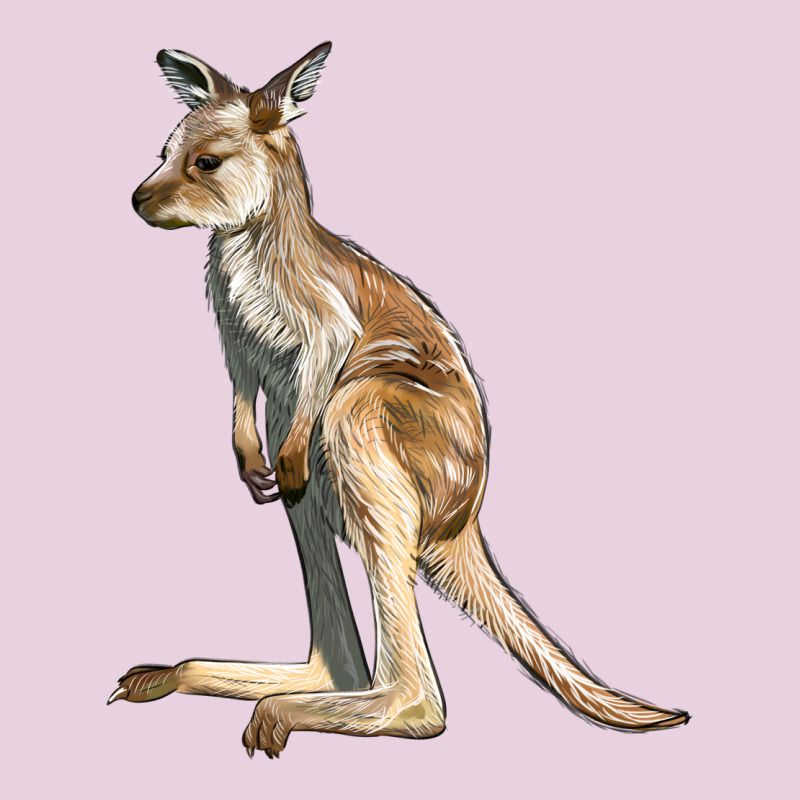 Baby Kangaroo Ladies Tee by LillyAllenDesigns | Teevron