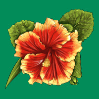 Hawaiian Hibiscus Flower Illustrations Urban Hoodie | Teevron