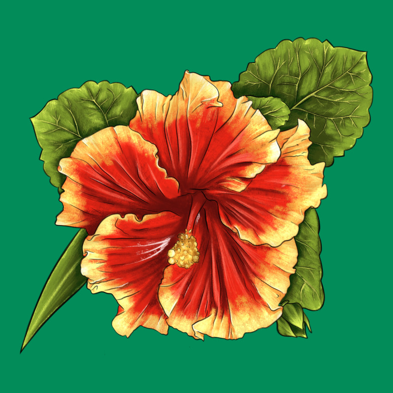 Hawaiian Hibiscus Flower Illustrations Urban Hoodie by LillyAllenDesigns | Teevron