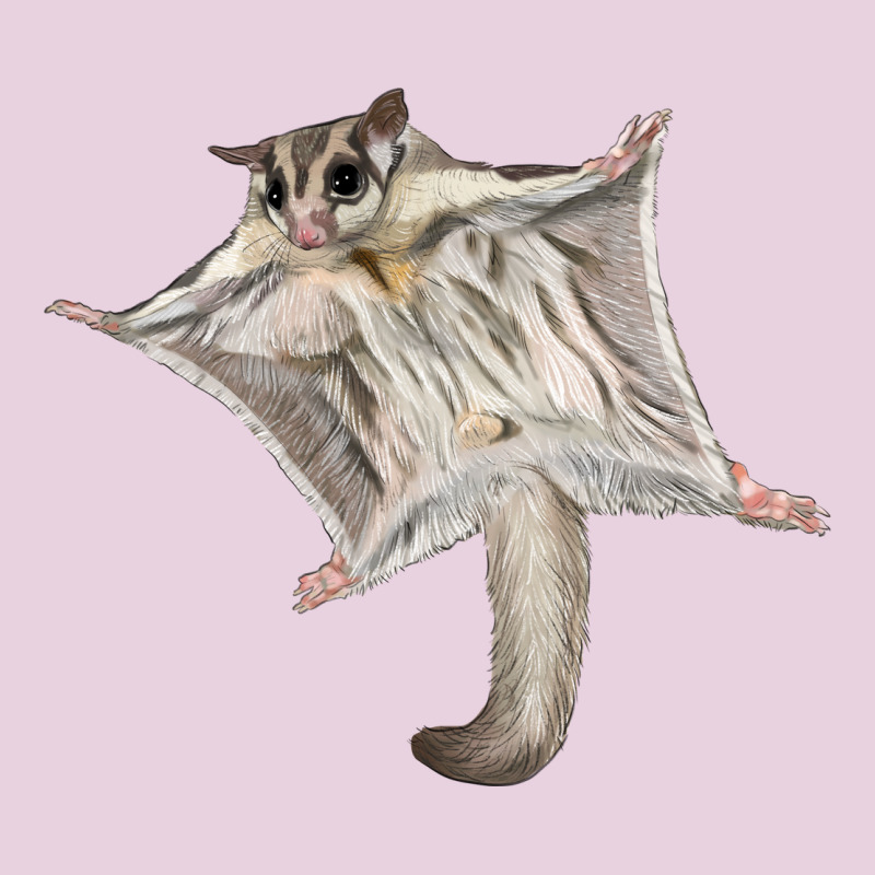 Sugar Glider Ladies Tee by LillyAllenDesigns | Teevron