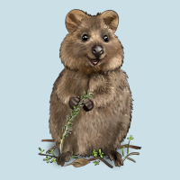 Quokka Ladies Tee | Teevron