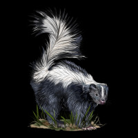 Skunk Ladies Tee | Teevron