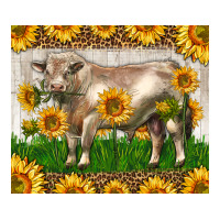 Western Charolais Bull With Sunflowers | Teevron