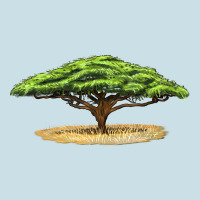 Acacia Tree Ladies Tee | Teevron