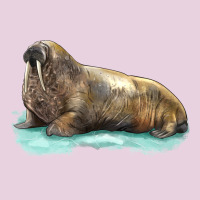 Walrus Ladies Tee | Teevron
