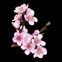 Peach Blossom Ladies Tee | Teevron