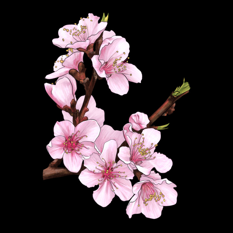 Peach Blossom Ladies Tee by LillyAllenDesigns | Teevron