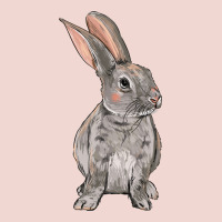 Easter Bunny Premium Sweatshirt | Teevron