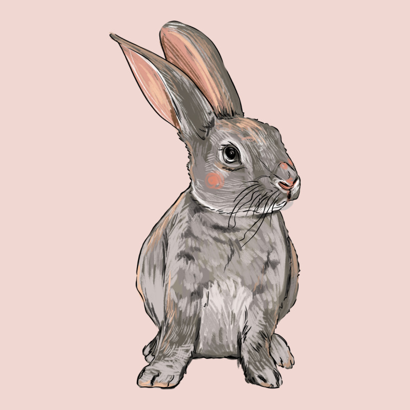 Easter Bunny Premium Sweatshirt by OliviaCreatesArt | Teevron