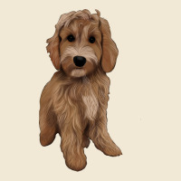 Maltipoo Premium Tee | Teevron