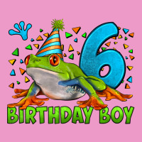 Birthday Boy Frog Age 6 Urban Hoodie | Teevron
