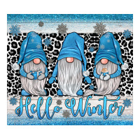 hello winter gnome | Teevron