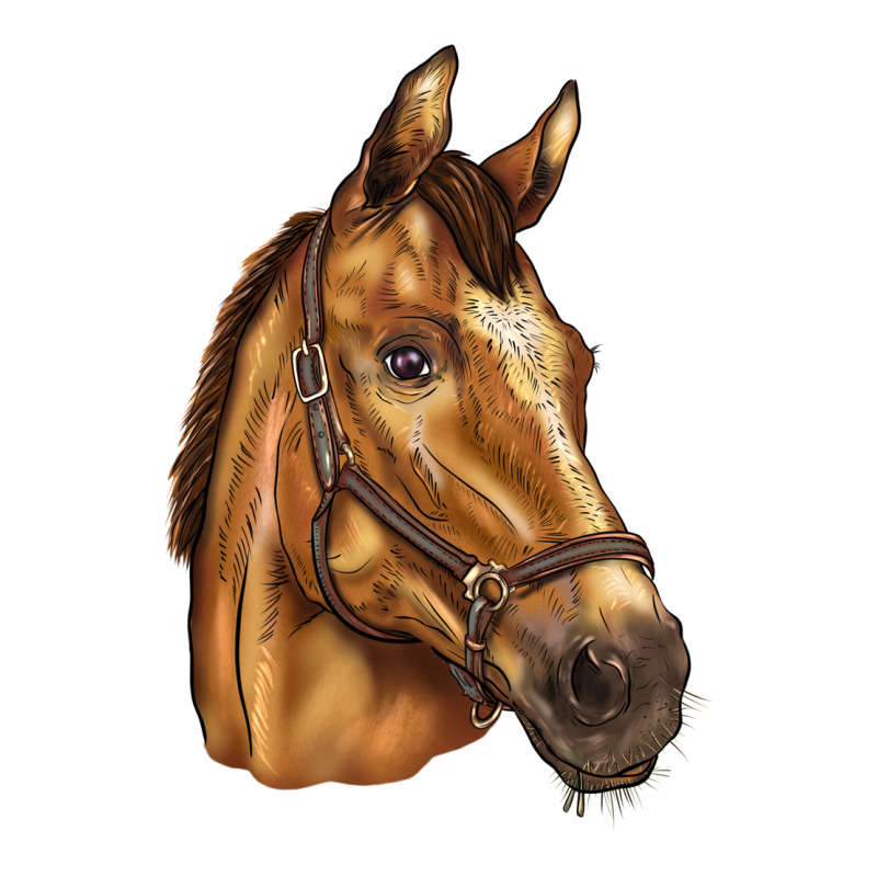 Horse Premium Tee by BarkalooDesign | Teevron