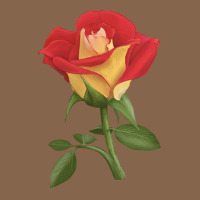 Ketchup And Mustard Rose Premium Tee | Teevron