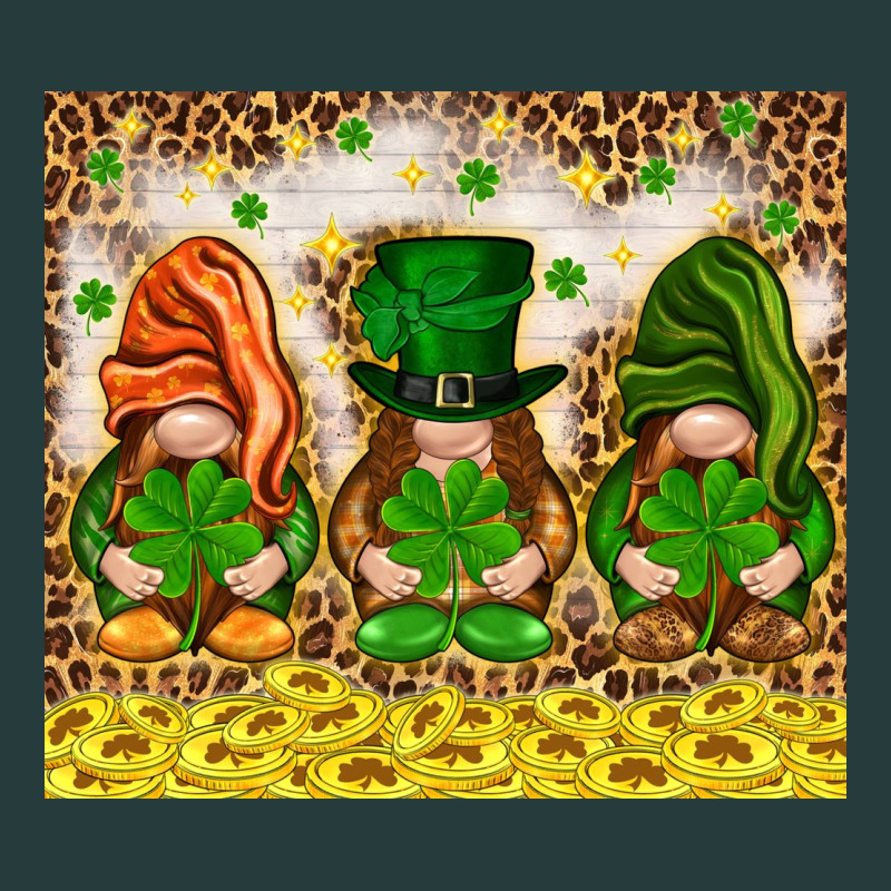 St. Patrick's Day Gnomies With Leopard Tumbler Premium Hoodie by HowdyJamesFarm | Teevron