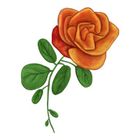Burst Of Joy Rose | Teevron