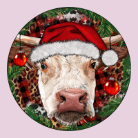 Hereford Cow Christmas Ladies Tee | Teevron