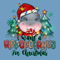 I Want A Hippopotamus For Christmas Urban Heavy Tee | Teevron