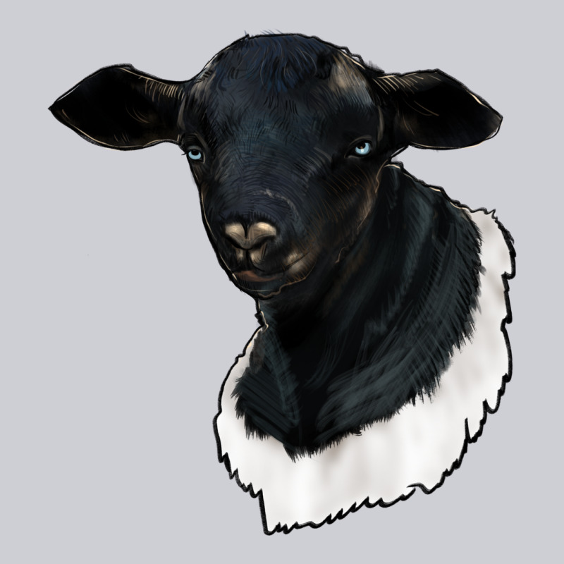 Dorper Sheep Heavyweight Sweatshirt by RanaPortraitStore | Teevron