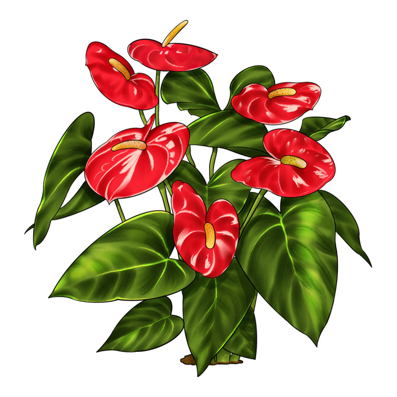 Anthurium Premium Tee by LillyAllenDesigns | Teevron