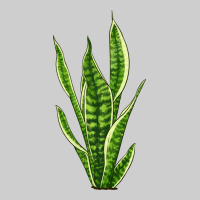 Snake Plant Premium Tee | Teevron