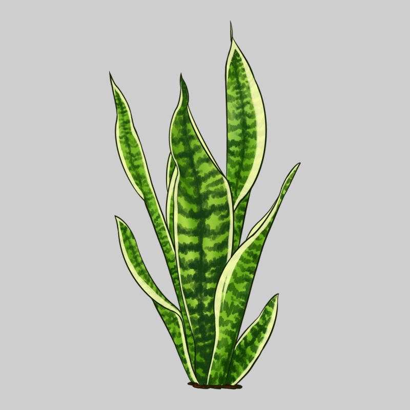 Snake Plant Premium Tee by LillyAllenDesigns | Teevron