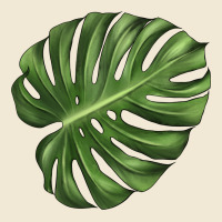Monstera Leaf Premium Tee | Teevron