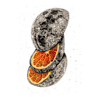 Lunar Fruit | Teevron