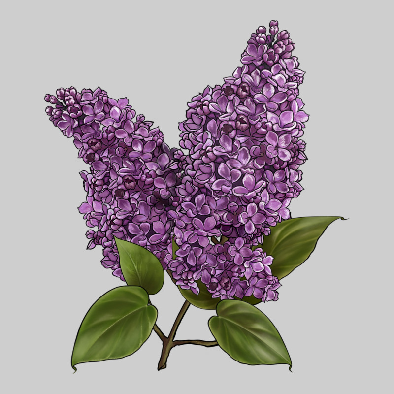 Purple Lilac Flower Illustrations Premium Tee by LillyAllenDesigns | Teevron