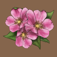 Wild Prairie Rose Illustrations Premium Tee | Teevron