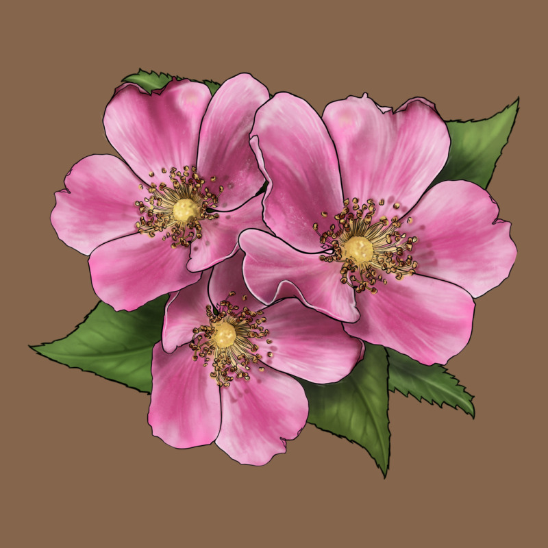Wild Prairie Rose Illustrations Premium Tee by LillyAllenDesigns | Teevron