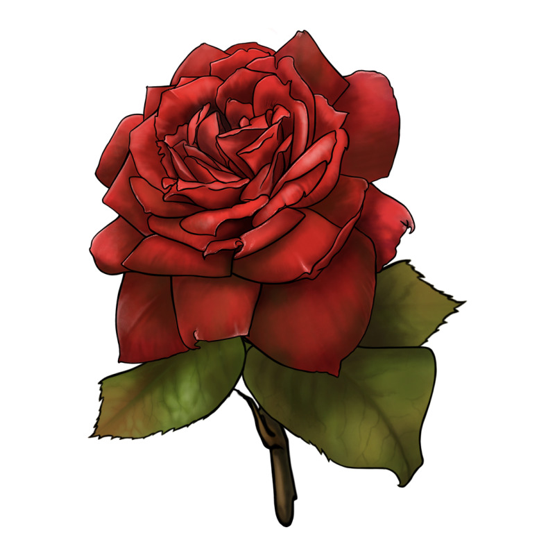 Oklahoma Rose Illustrations Premium Tee by LillyAllenDesigns | Teevron