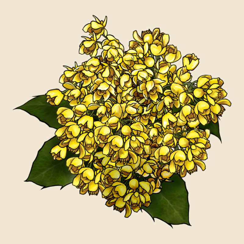 Oregon Grape Flower Illustrations Premium Tee by LillyAllenDesigns | Teevron