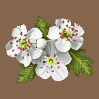 Hawthorn Flower Illustrations Premium Tee | Teevron