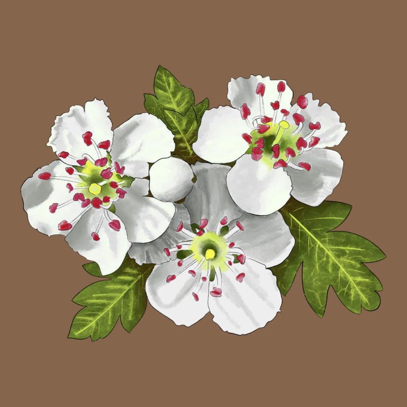 Hawthorn Flower Illustrations Premium Tee by LillyAllenDesigns | Teevron