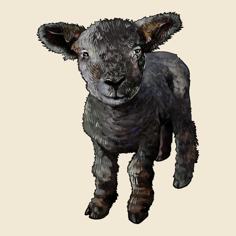 Southdown Baby Sheep Premium Tee by LillyAllenDesigns | Teevron