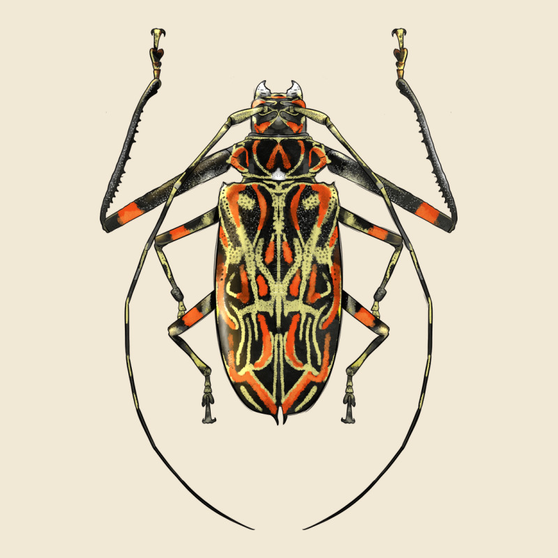 Acrocinus Beetle Illustrations Premium Tee by LillyAllenDesigns | Teevron