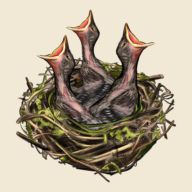 Bird Nest With Baby Birds Premium Tee by LillyAllenDesigns | Teevron