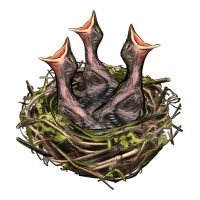 Bird Nest With Baby Birds | Teevron