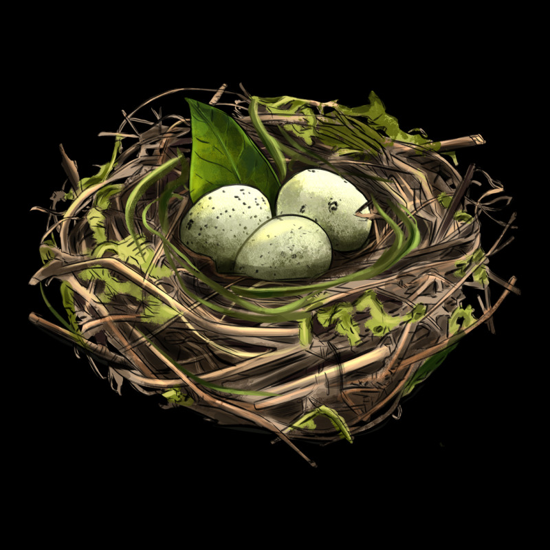 Bird Nest With Eggs Premium Tee by LillyAllenDesigns | Teevron