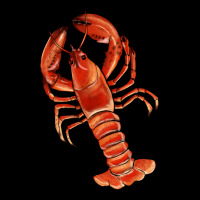 Crawfish Heavyweight Sweatshirt | Teevron