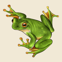 White Lipped Tree Frog Illustrations Premium Tee | Teevron