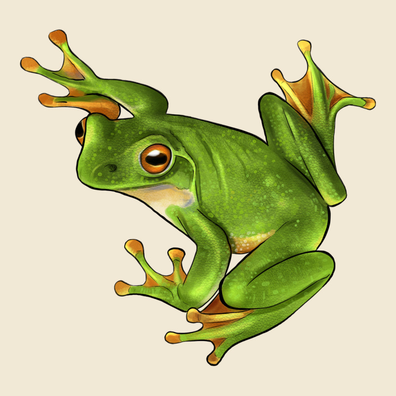 White Lipped Tree Frog Illustrations Premium Tee by LillyAllenDesigns | Teevron